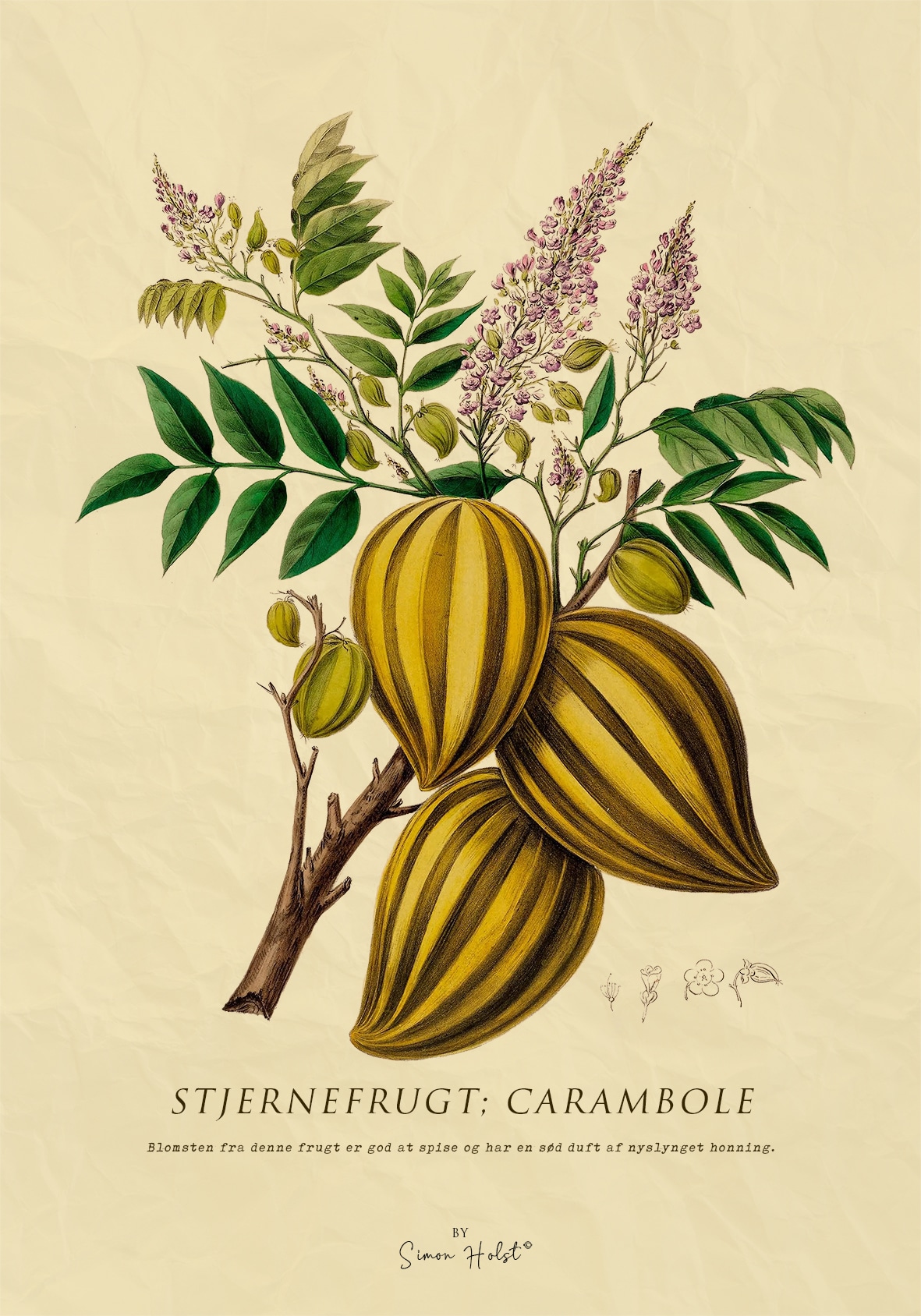 Stjernefrugt plakat